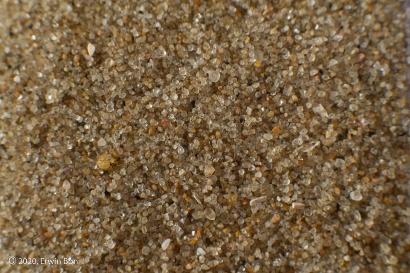 Nederland, Zuid-Holland, 